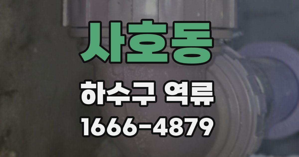 사호동 하수구 역류