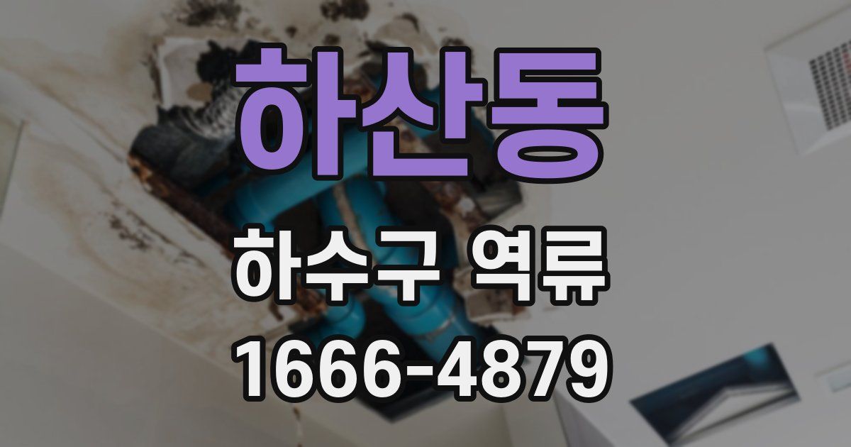 하산동 하수구 역류