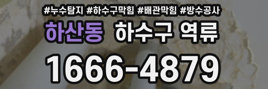 하산동 하수구 역류