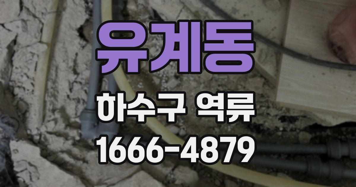 유계동 하수구 역류