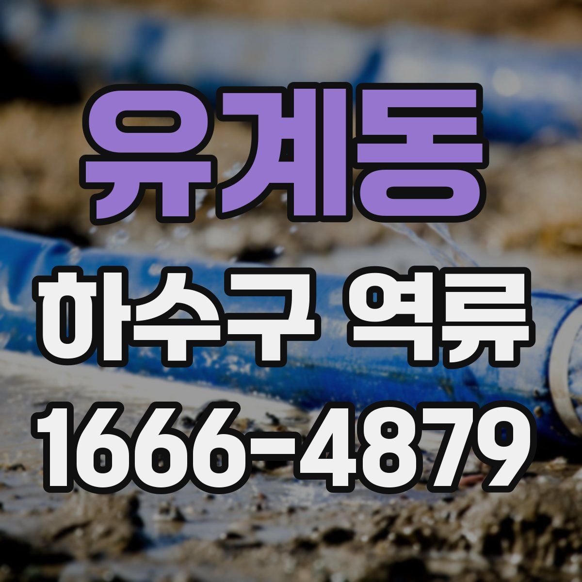 유계동 하수구 역류