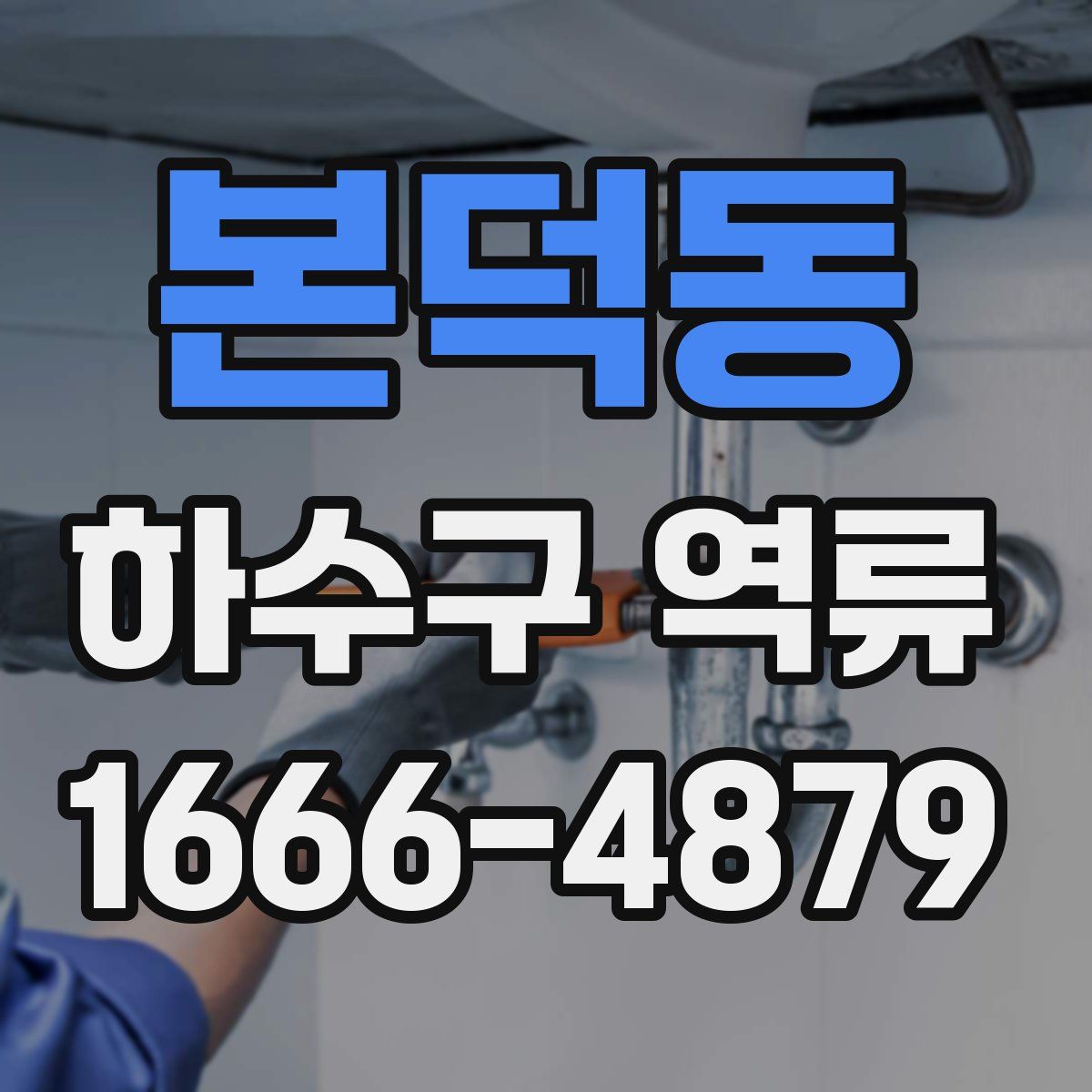 본덕동 하수구 역류