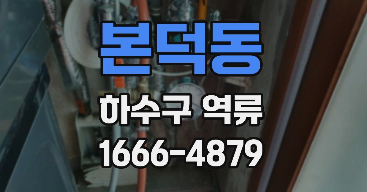 본덕동 하수구 역류
