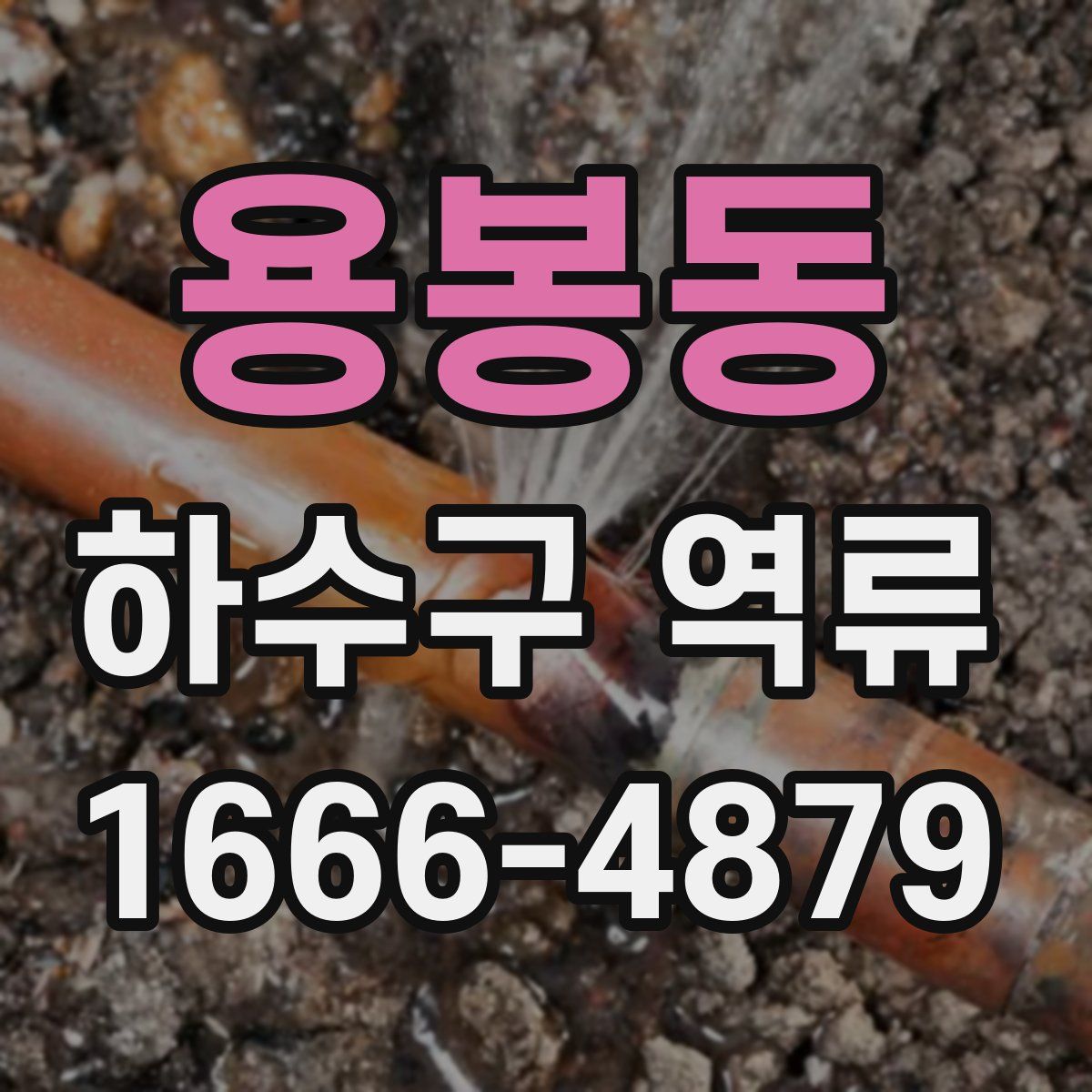용봉동 하수구 역류