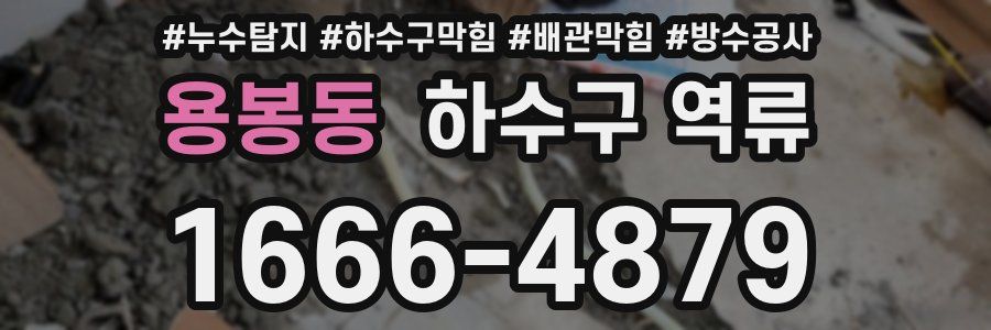 용봉동 하수구 역류