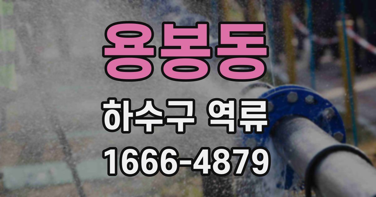용봉동 하수구 역류