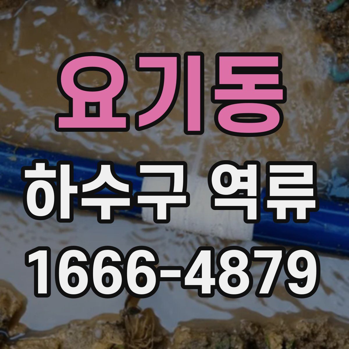 요기동 하수구 역류