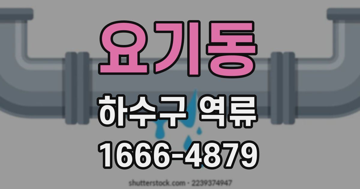 요기동 하수구 역류