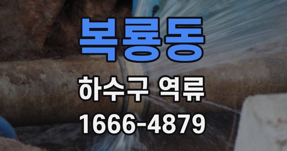 복룡동 하수구 역류