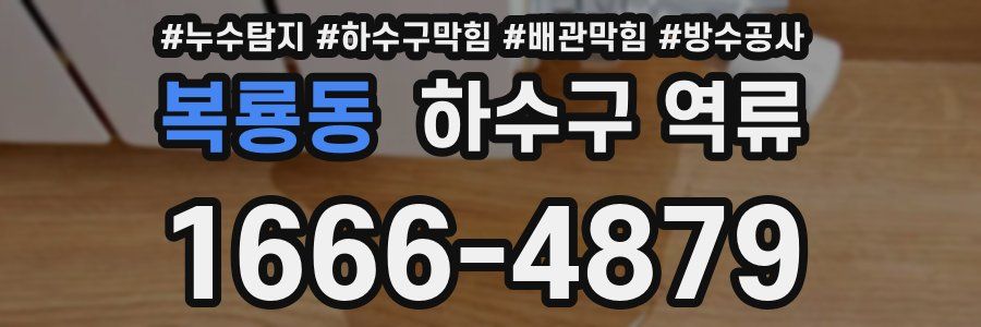 복룡동 하수구 역류