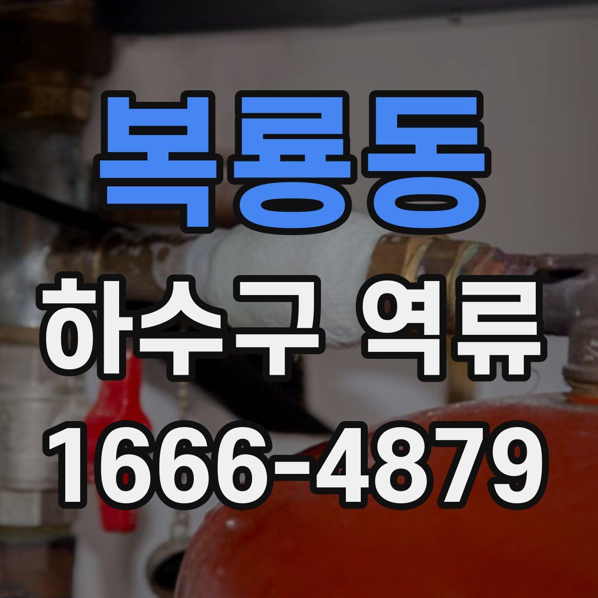 복룡동 하수구 역류