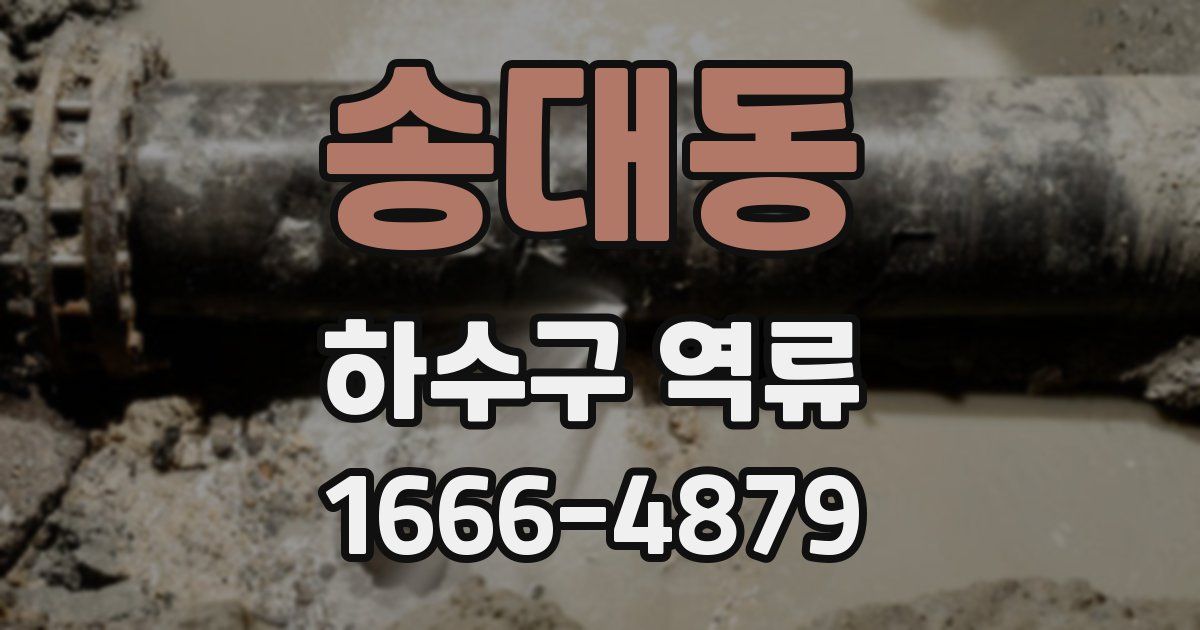 송대동 하수구 역류