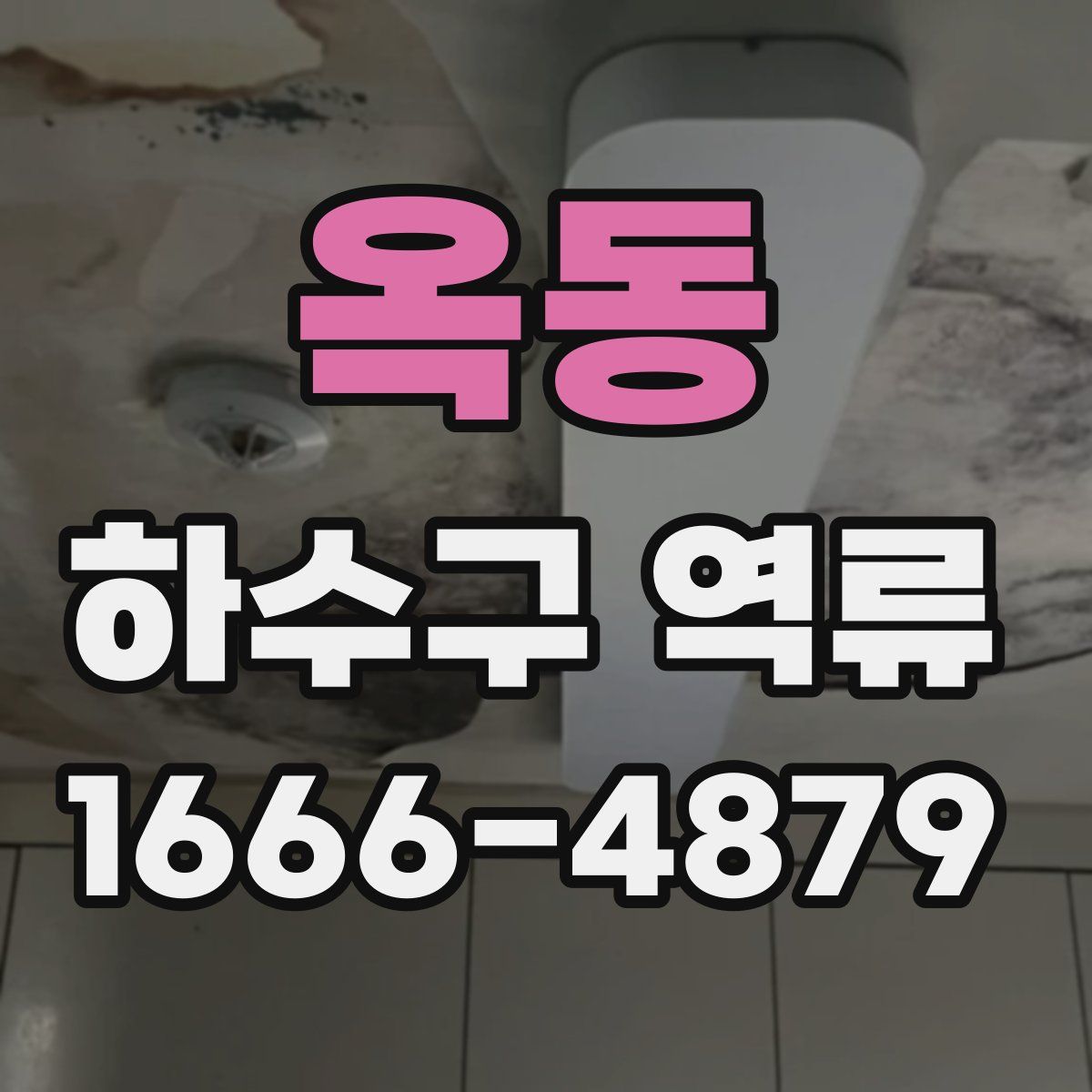 옥동 하수구 역류