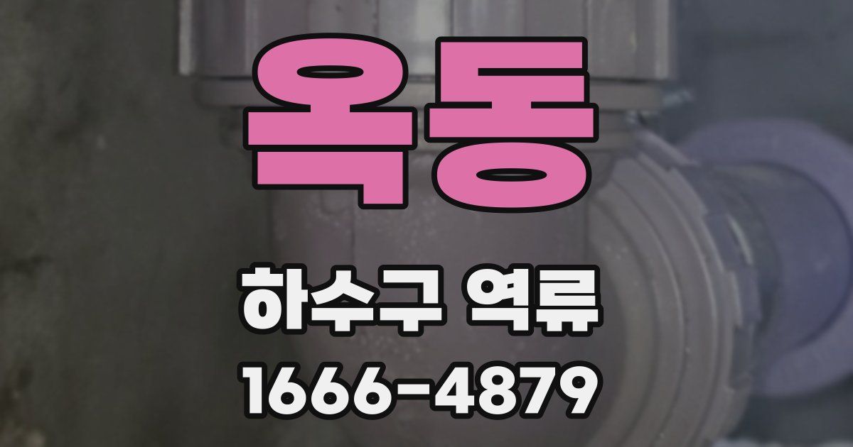 옥동 하수구 역류