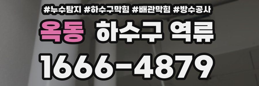 옥동 하수구 역류