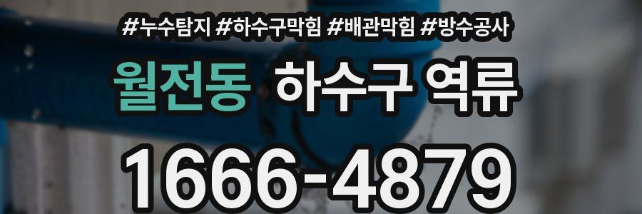 월전동 하수구 역류