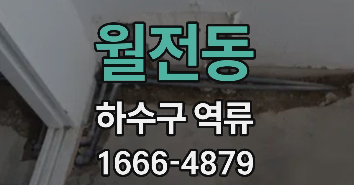 월전동 하수구 역류