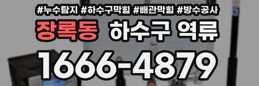 장록동 하수구 역류