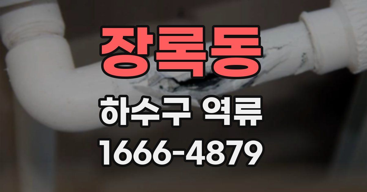 장록동 하수구 역류