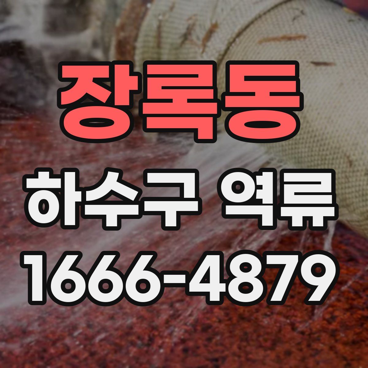 장록동 하수구 역류