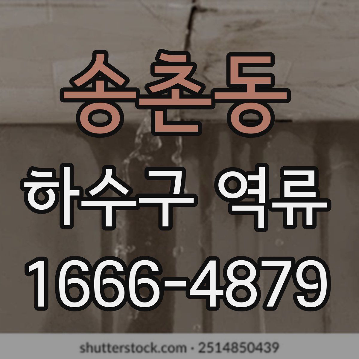 송촌동 하수구 역류