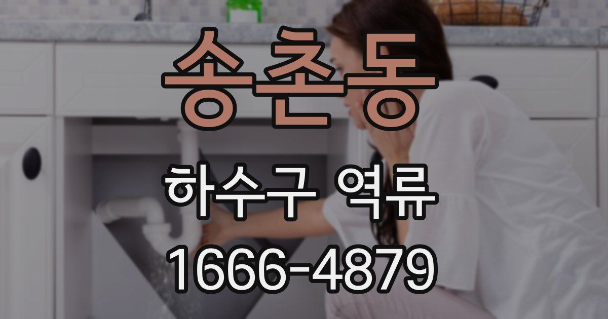 송촌동 하수구 역류