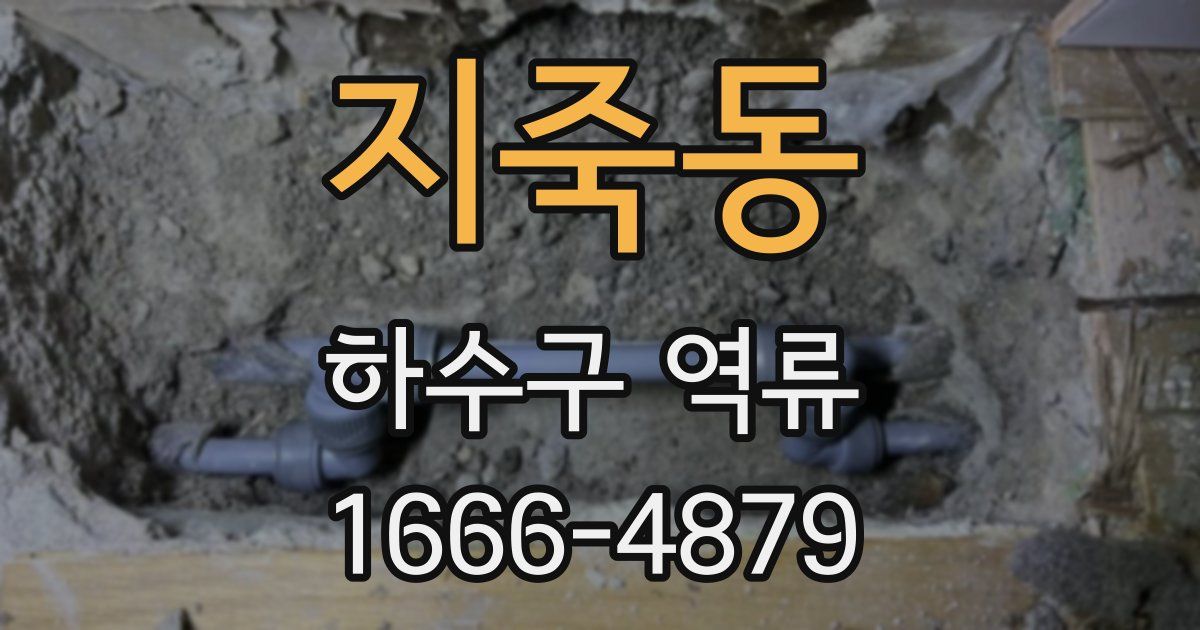 지죽동 하수구 역류