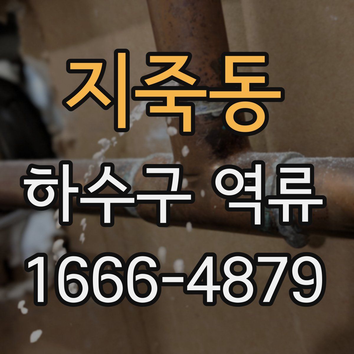 지죽동 하수구 역류