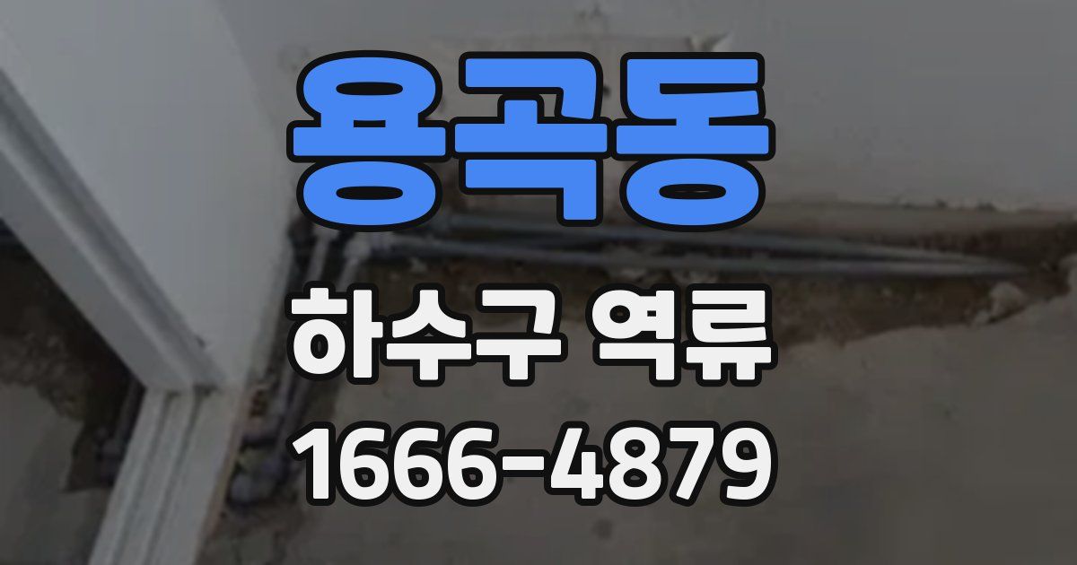 용곡동 하수구 역류