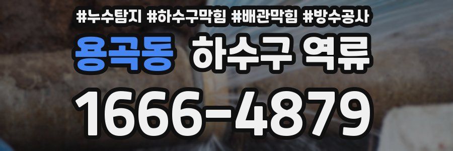 용곡동 하수구 역류