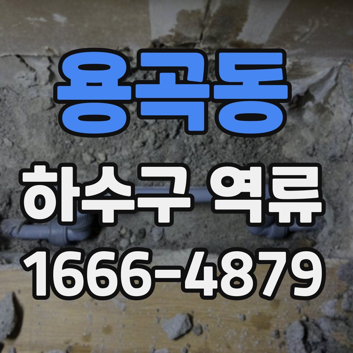용곡동 하수구 역류