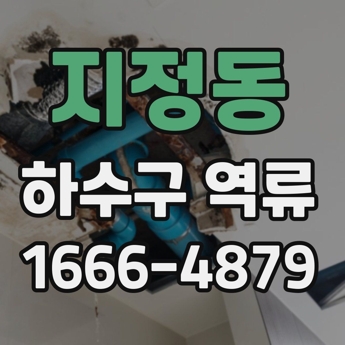 지정동 하수구 역류