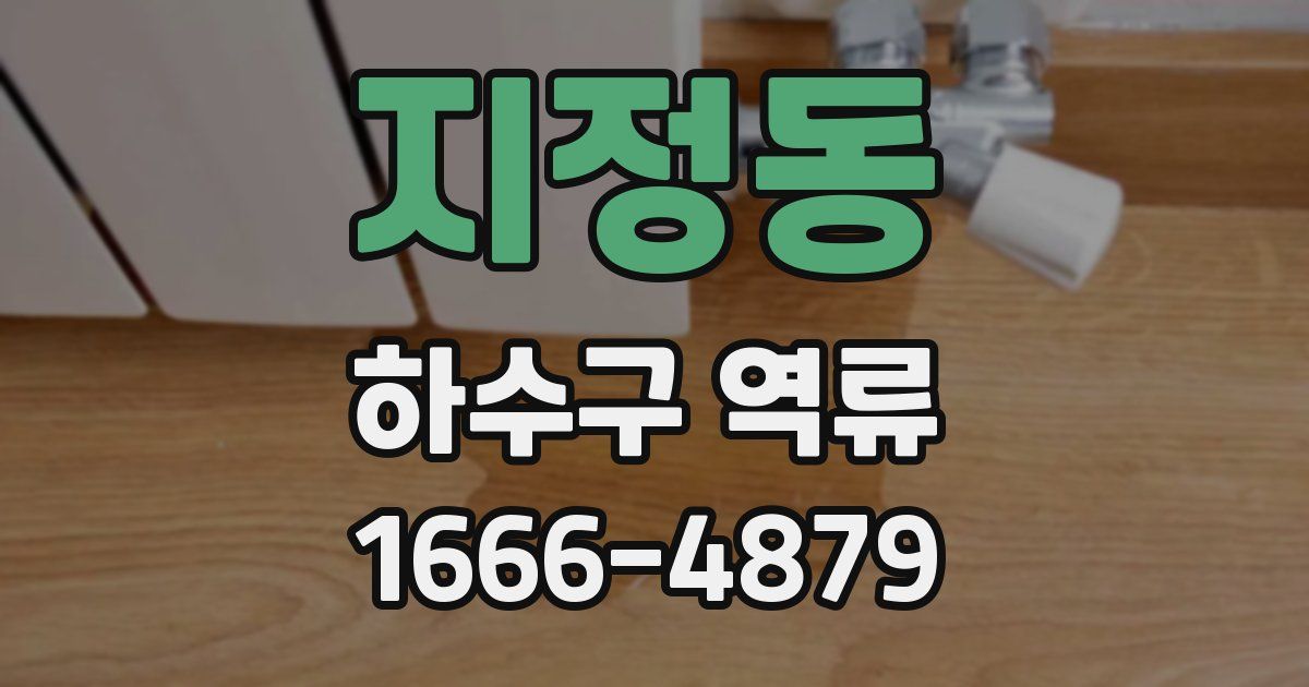 지정동 하수구 역류