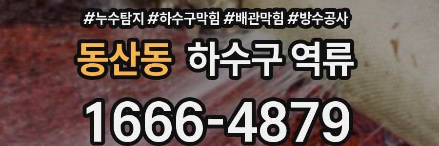 동산동 하수구 역류