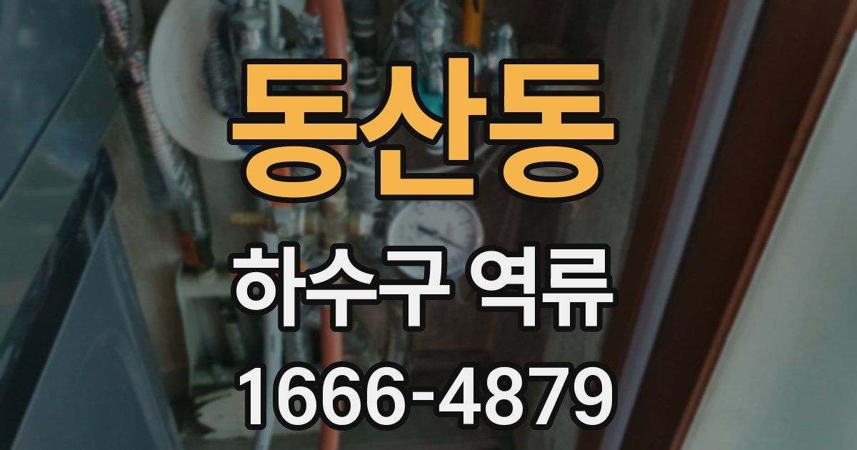 동산동 하수구 역류