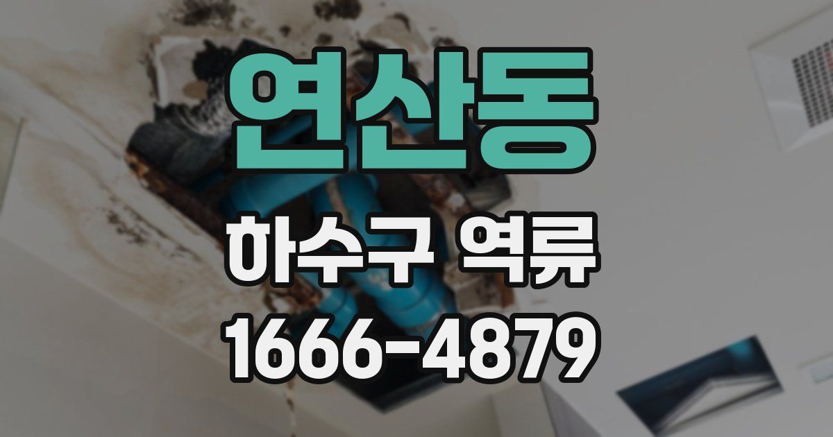 연산동 하수구 역류