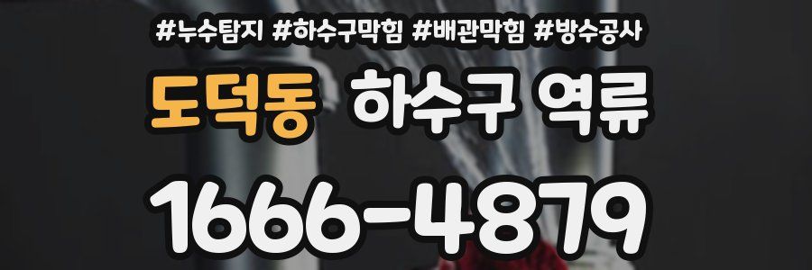 도덕동 하수구 역류