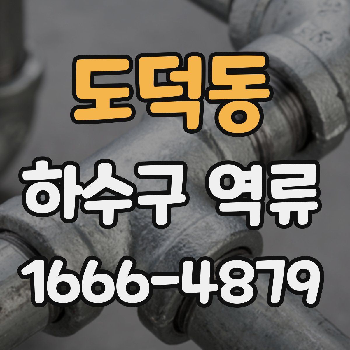도덕동 하수구 역류