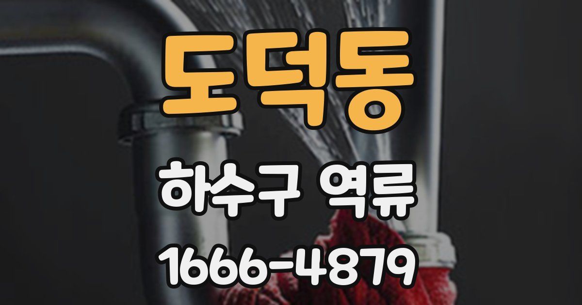 도덕동 하수구 역류