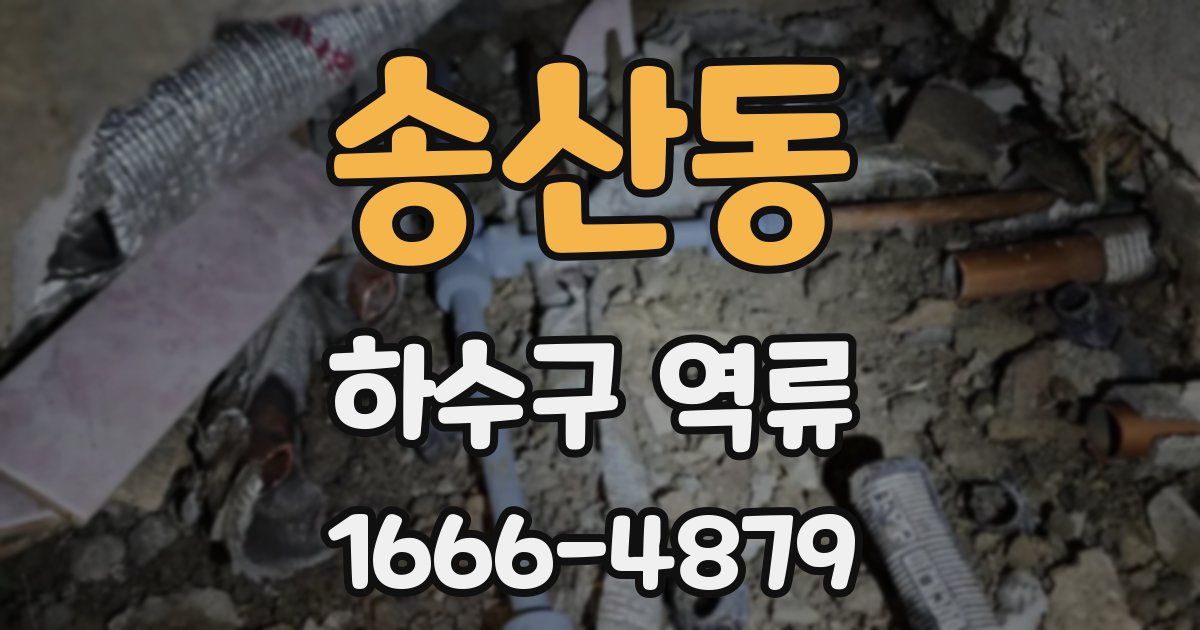 송산동 하수구 역류
