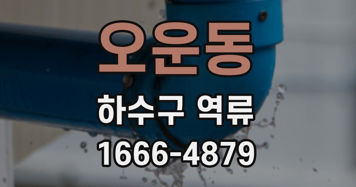 오운동 하수구 역류