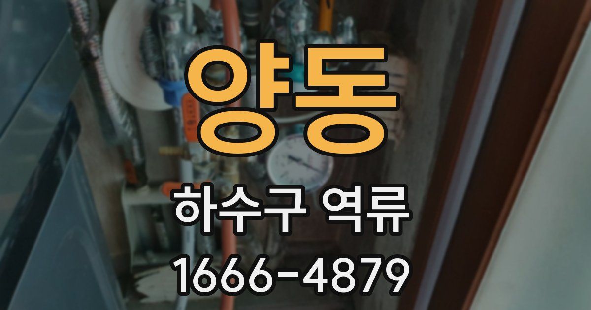 양동 하수구 역류