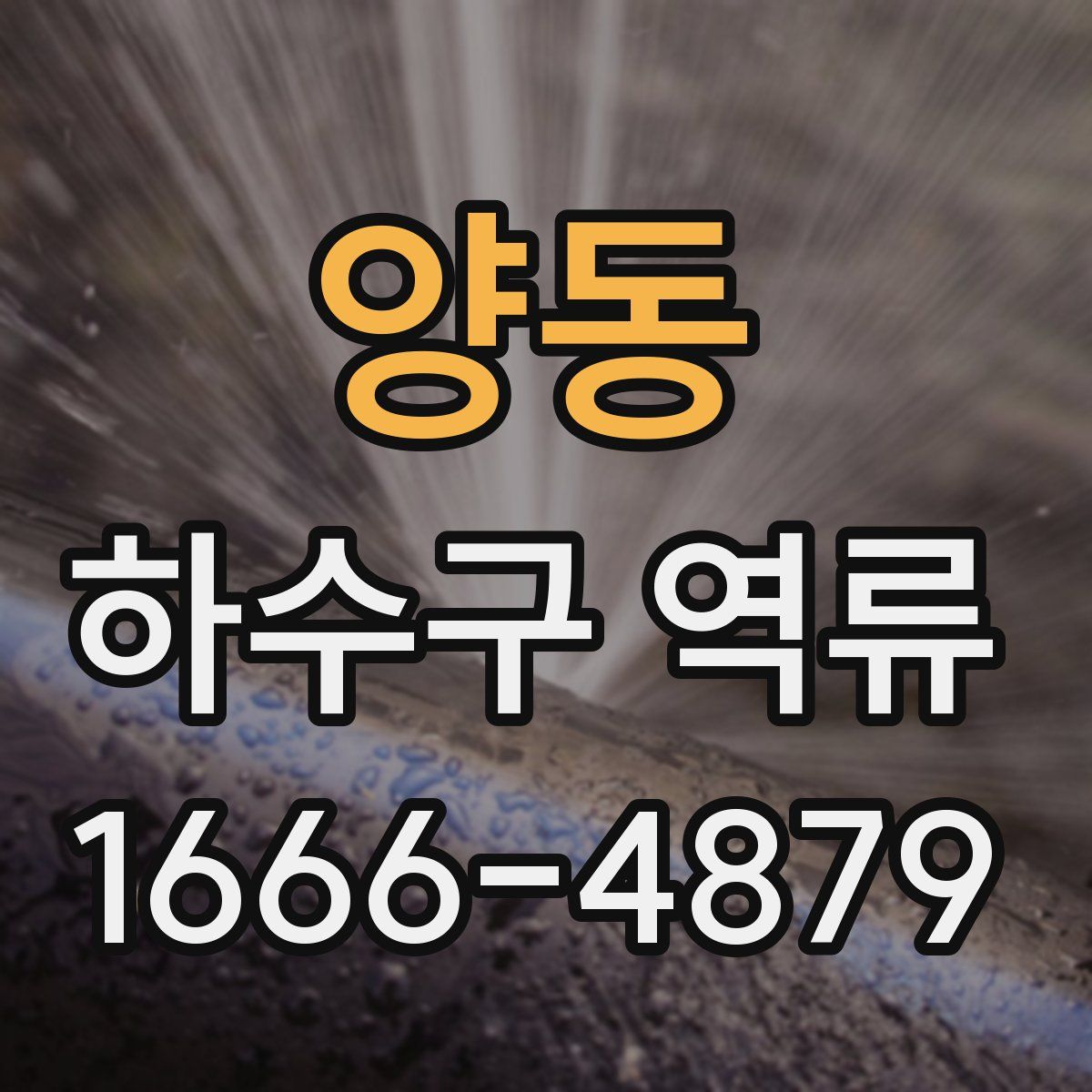 양동 하수구 역류