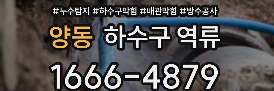 양동 하수구 역류
