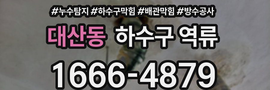 대산동 하수구 역류