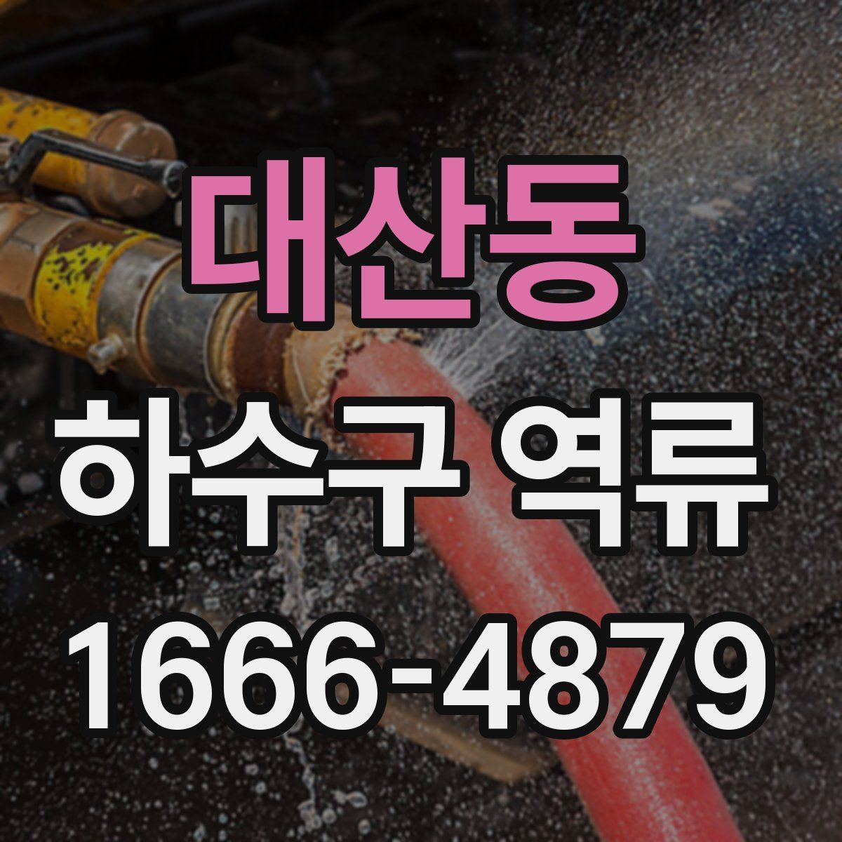 대산동 하수구 역류