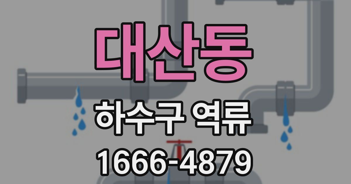 대산동 하수구 역류