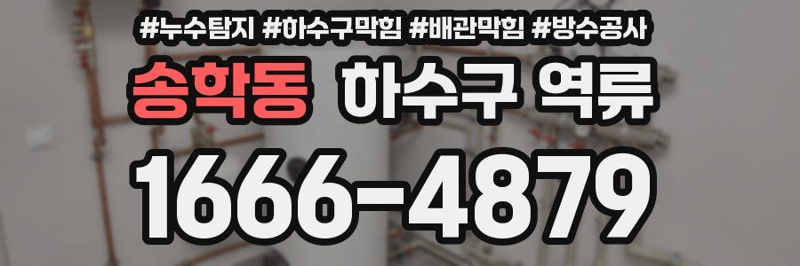 송학동 하수구 역류