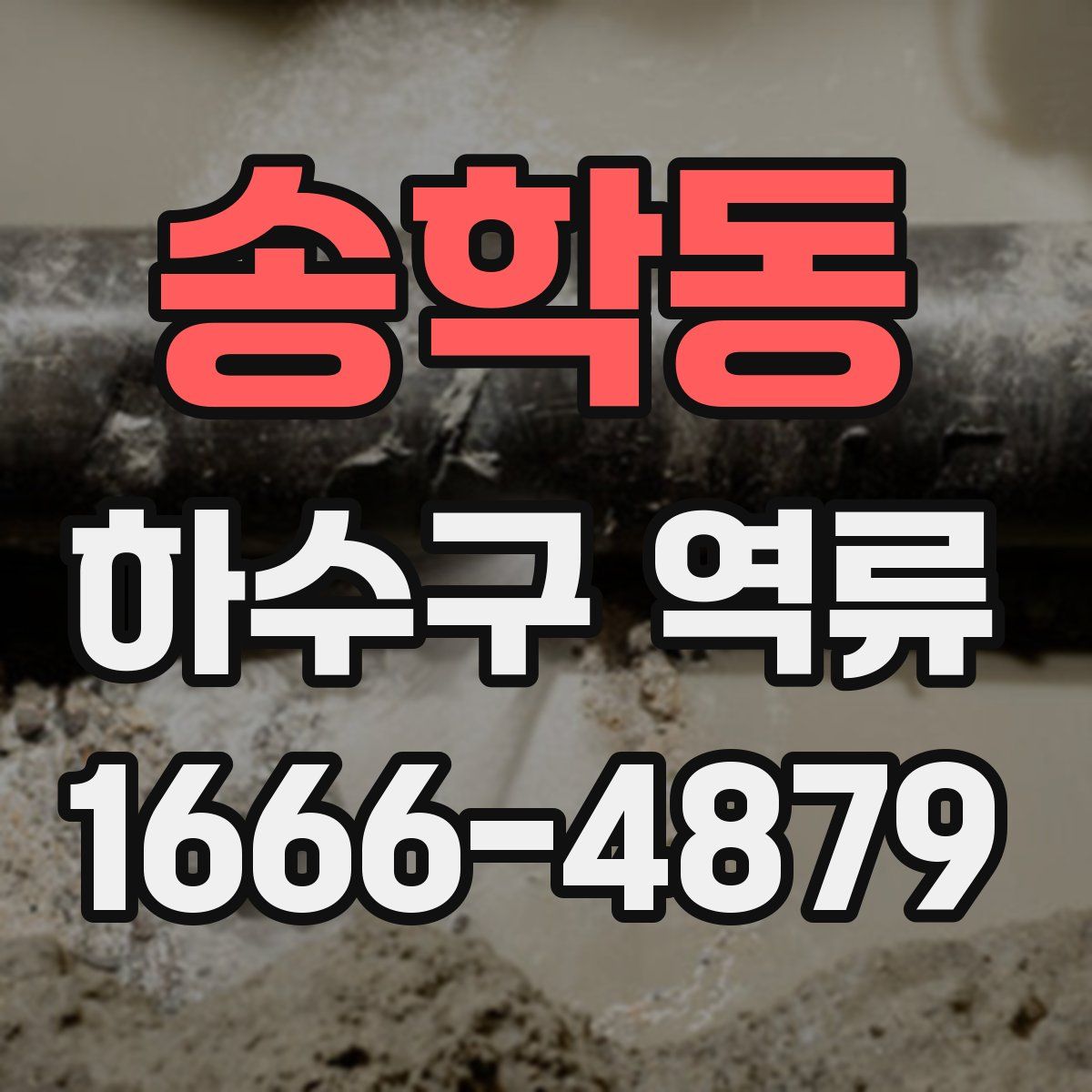 송학동 하수구 역류