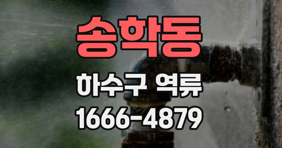 송학동 하수구 역류